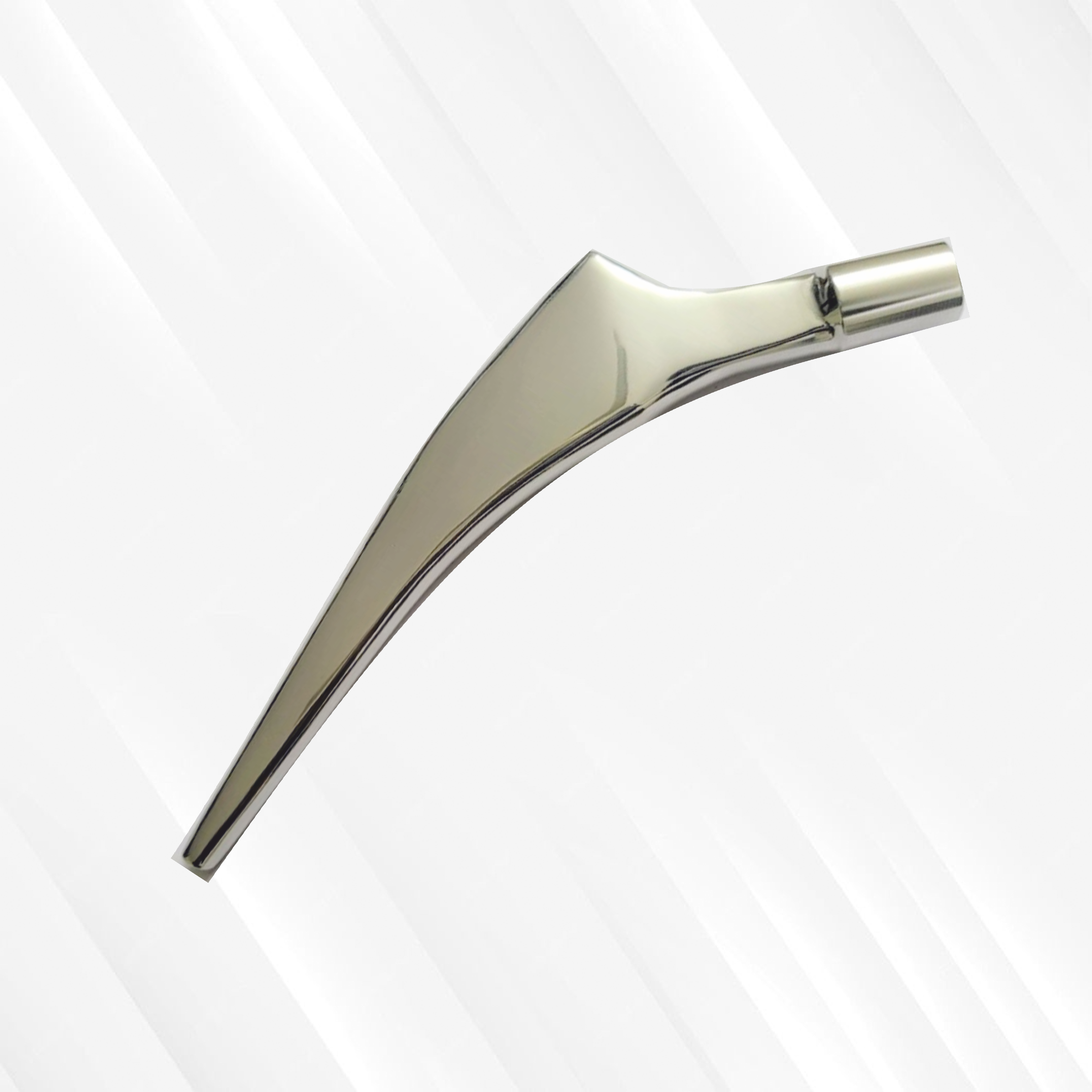 Cemented Stem (Polished)