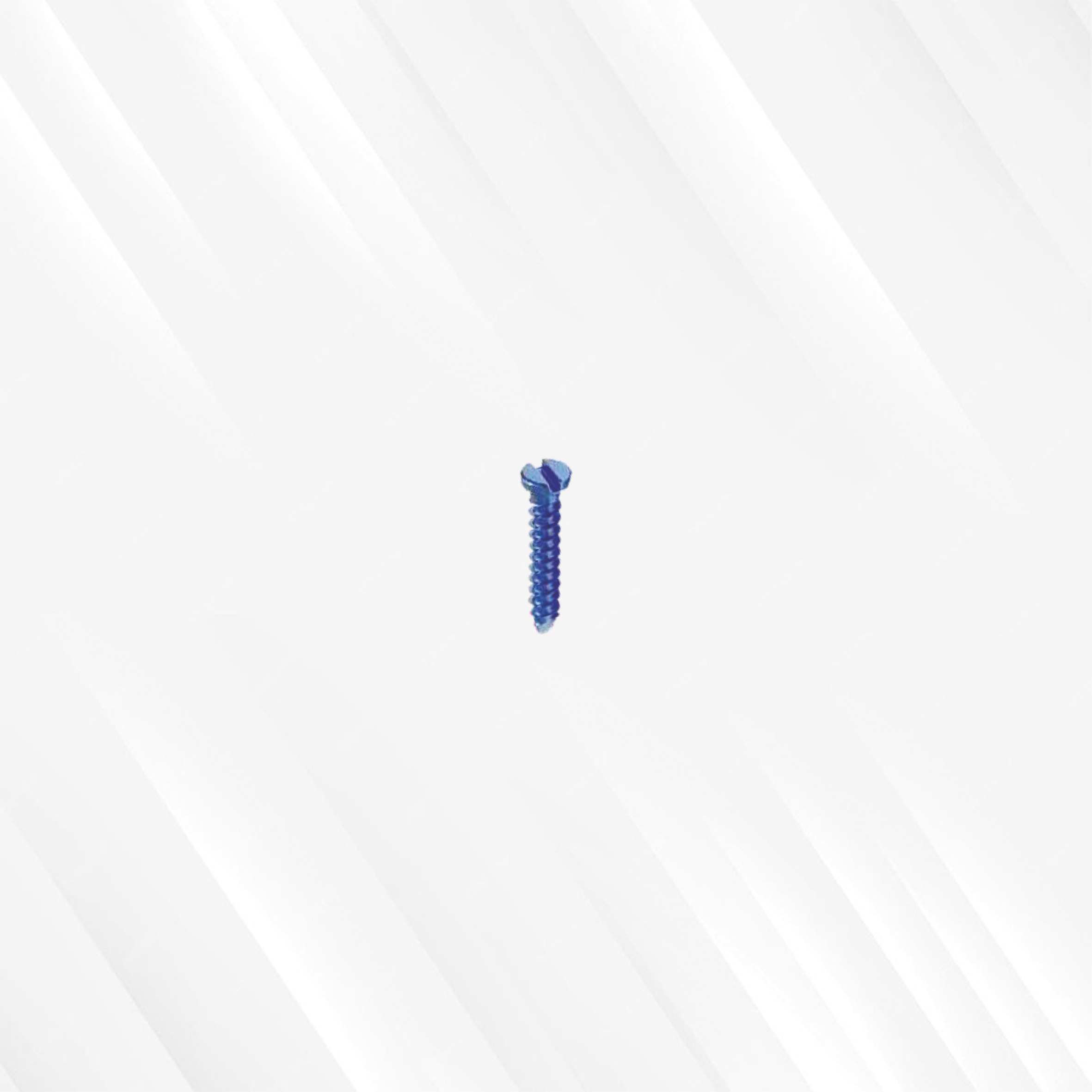 Mini Screw (Single Slotted)