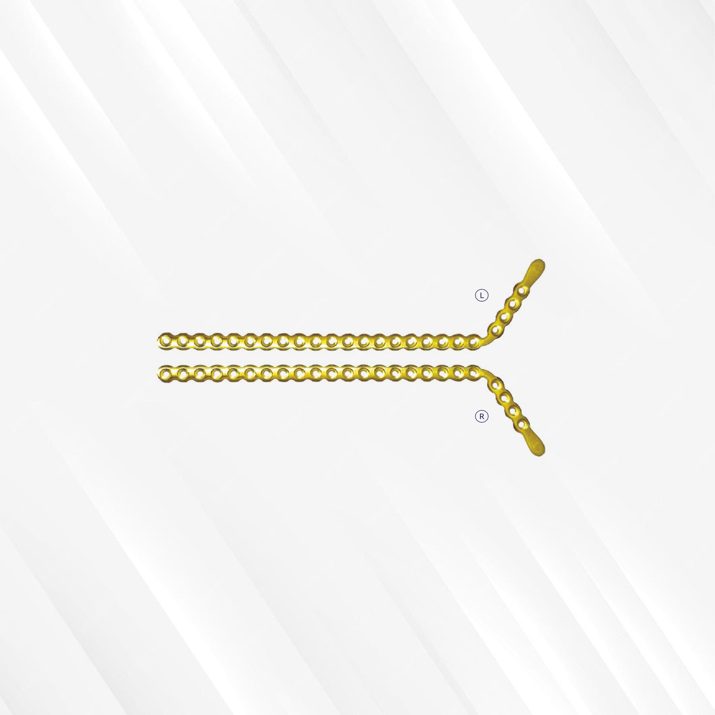 TMJ Condyle With Reconstruction Plates