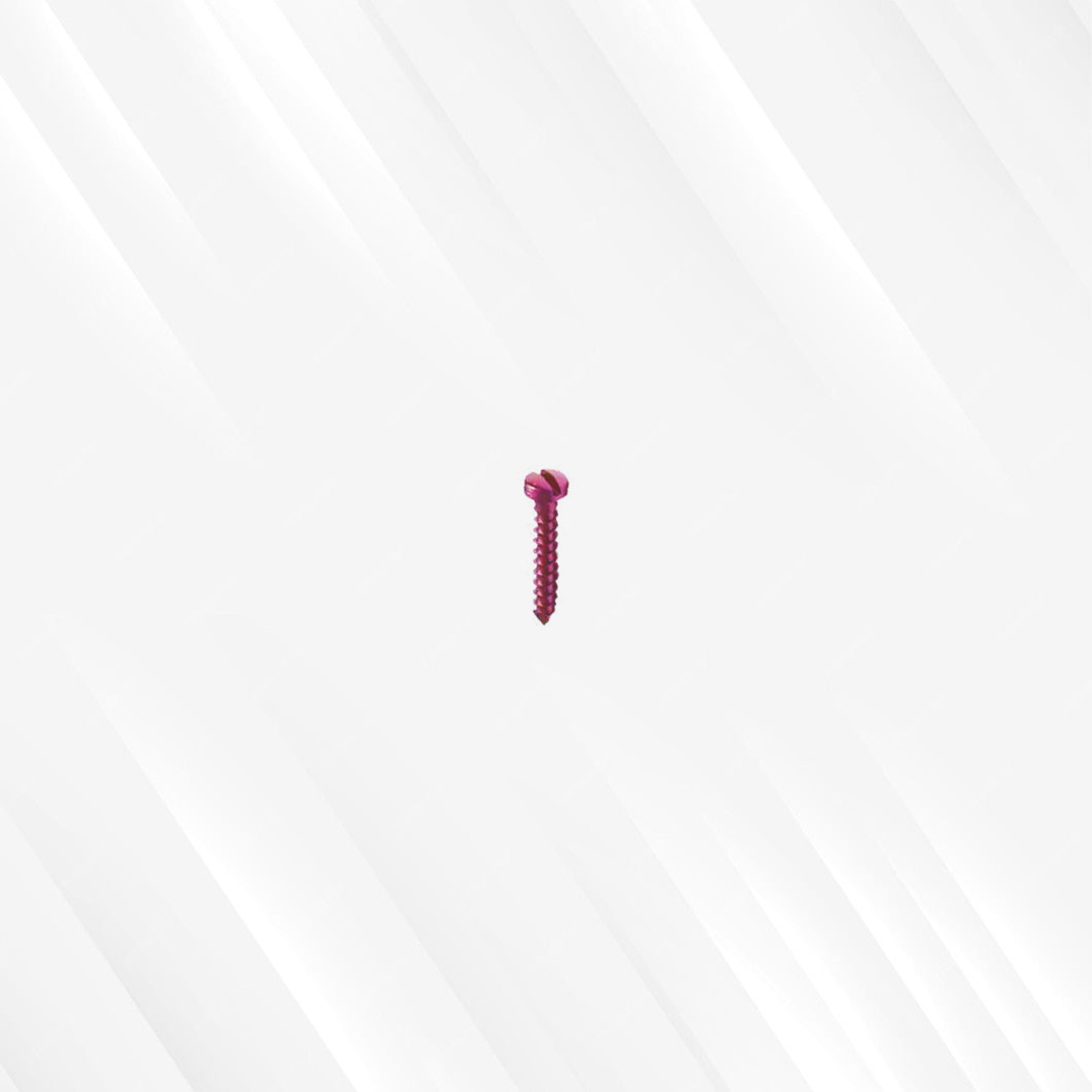 Mini Screw (Single Slotted)